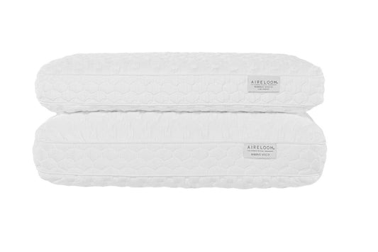 Aireloom Nimbus Visco Queen Low Profile