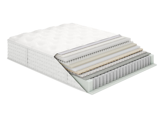 Timeless Odyssey Streamline M1 Plush