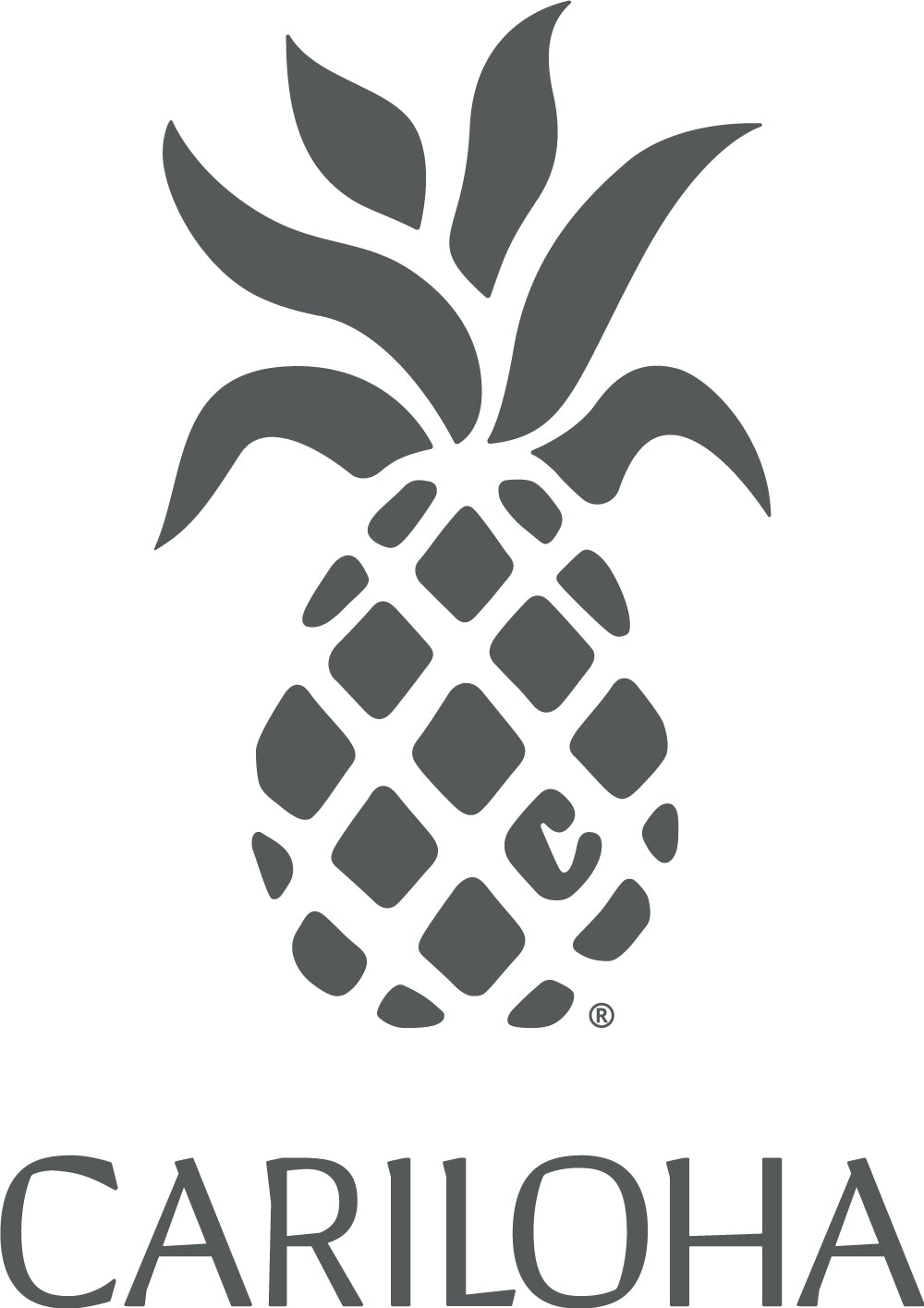 Cariloha Bamboo Aloha Soft Sheets