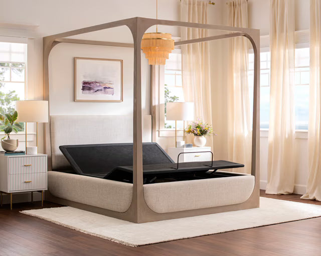 Premium Plus Smart Base