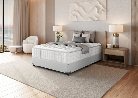 Timeless Odyssey M2 Luxetop Firm