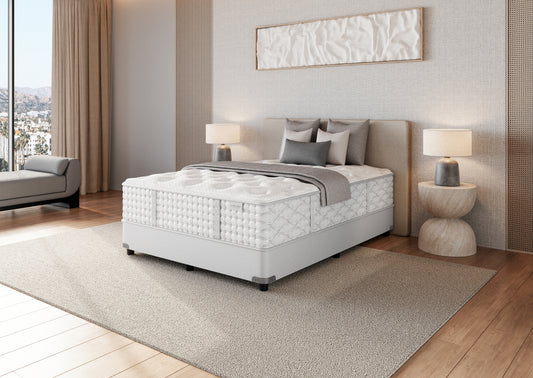 Timeless Odyssey Streamline M1 Plush