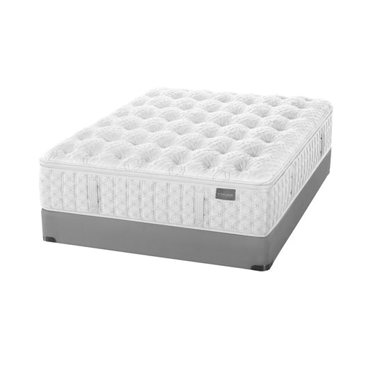 Timeless Odyssey M2 Luxetop Plush